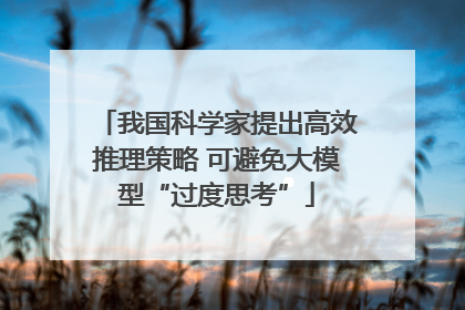 我国科学家提出高效推理策略 可避免大模型“过度思考”